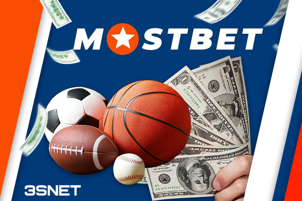 Best Online Casino Games for Every Player 0